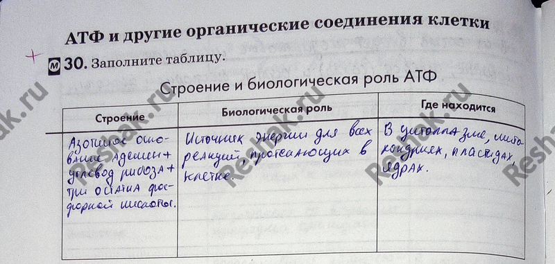 Изображение 30. Заполните таблицу.  Строение и биологическая роль АТФ Строение Биологическая роль Где...