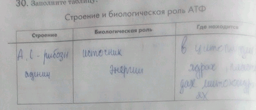 Изображение 30. Заполните таблицу.  Строение и биологическая роль АТФ Строение Биологическая роль Где...
