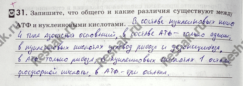 Изображение 31. Запишите, что общего и какие различия существуют между АТФ и нуклеиновыми кислотами. _ Биологические...