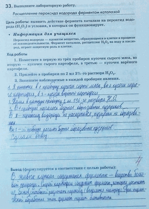 Изображение 33. Выполните лабораторную работу.  Расщепление пероксида водорода ферментом каталазой Цель...