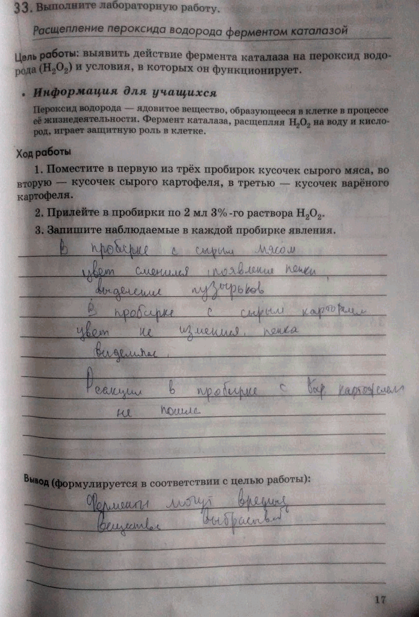 Изображение 33. Выполните лабораторную работу.  Расщепление пероксида водорода ферментом каталазой Цель...