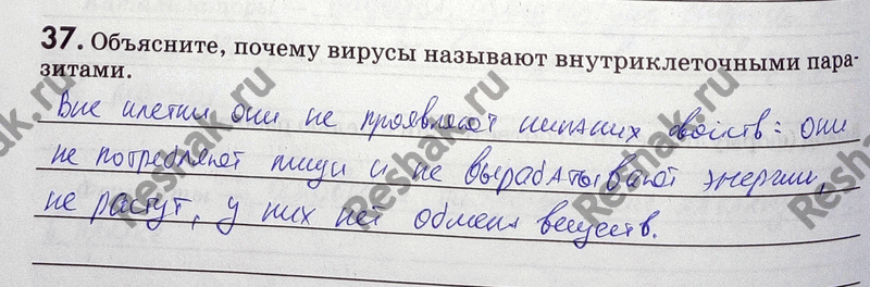 Изображение Упр.37 ГДЗ Рабочая тетрадь Пасечник 9 класс