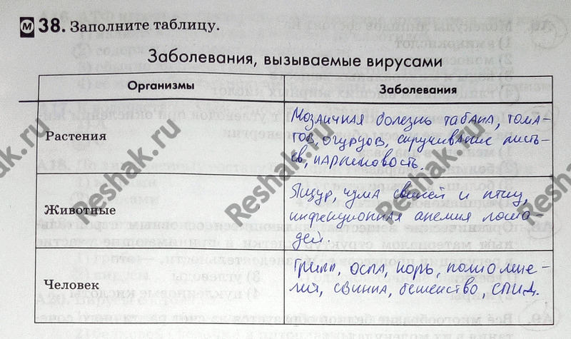 Изображение 38. Заполните таблицу.  Заболевания, вызываемые вирусами Организмы Заболевания  Растения  Животные ...