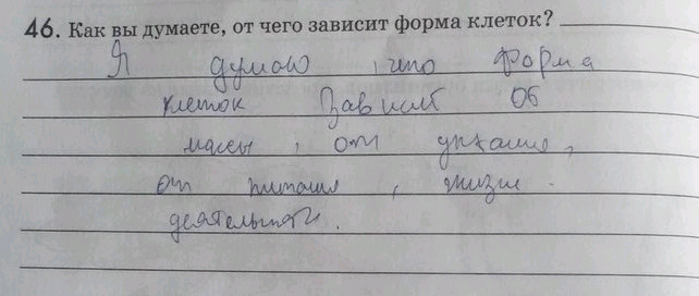 Изображение 46. Как вы думаете, от чего зависит форма клеток? Общие сведения о клетках. Клеточная...