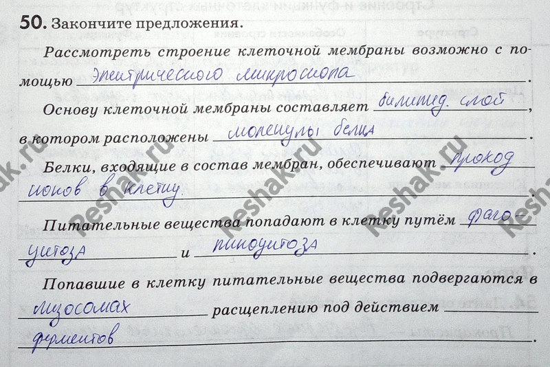 Изображение 50. Закончите предложения.  Рассмотреть строение клеточной мембраны возможно с помощью_. ...