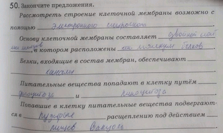 Изображение 50. Закончите предложения.  Рассмотреть строение клеточной мембраны возможно с помощью_. ...