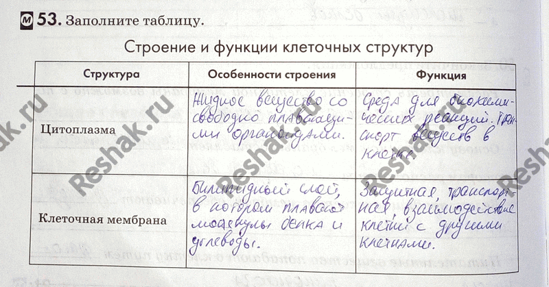 Изображение 53. Заполните таблицу.  Строение и функции клеточных структур Структура Особенности строения Функция  Цитоплазма  Клеточная мембрана ...