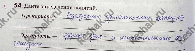 Изображение Упр.54 ГДЗ Рабочая тетрадь Пасечник 9 класс