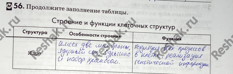 Изображение 56. Продолжите заполнение таблицы.  Строение и функции клеточных структур Структура Особенности строения Функция ...
