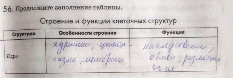 Изображение 56. Продолжите заполнение таблицы.  Строение и функции клеточных структур Структура Особенности строения Функция ...