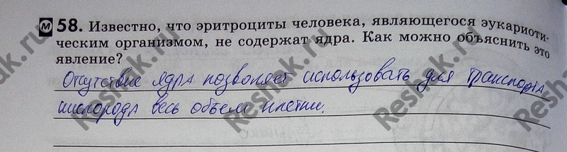Изображение 58. Известно, что эритроциты человека, являющегося эукариотическим организмом, не содержат ядра. Как можно объяснить это...