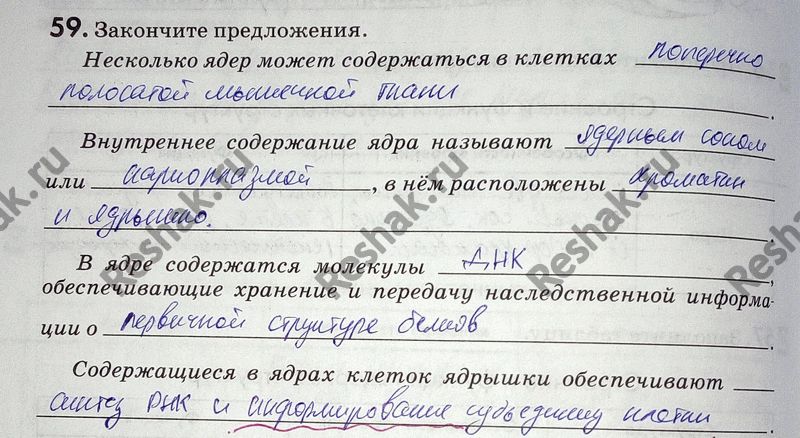 Изображение 59. Закончите предложения.  Несколько ядер может содержаться в клетках Внутреннее содержание...