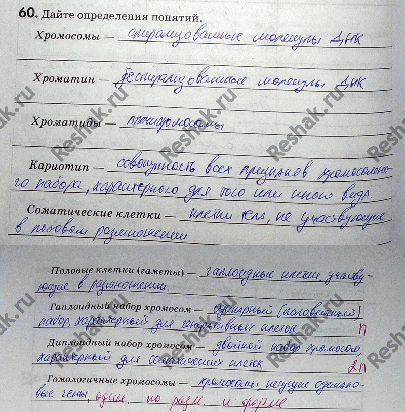 Изображение 60. Дайте определения понятий. Хромосомы — Хроматин — Хроматиды — Kapuomun — Соматические...