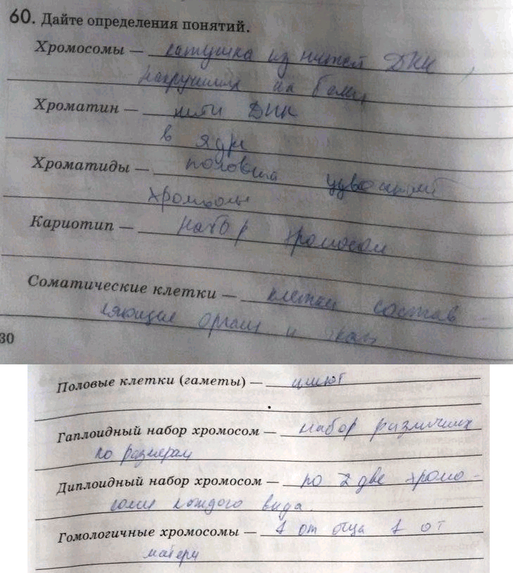 Изображение 60. Дайте определения понятий. Хромосомы — Хроматин — Хроматиды — Kapuomun — Соматические...