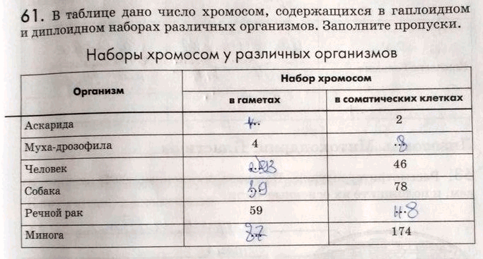 Изображение 61. B таблице дано число хромосом, содержащихся в гаплоидном и диплоидном наборах различных...