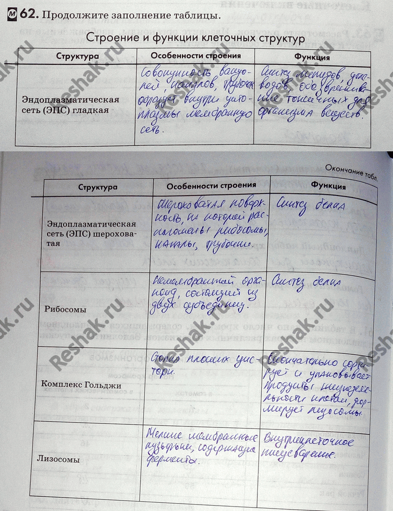 Изображение 62. Продолжите заполнение таблицы.  Строение и функции клеточных структур Структура...