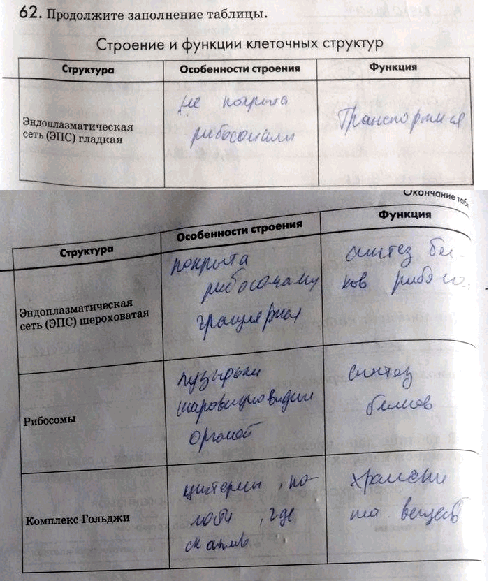 Изображение 62. Продолжите заполнение таблицы.  Строение и функции клеточных структур Структура...