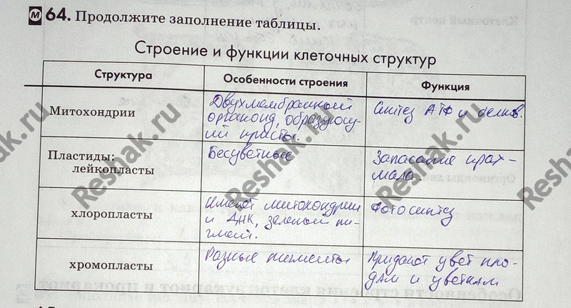 Изображение 64. Продолжите заполнение таблицы.  Строение и функции клеточных структур Структура...