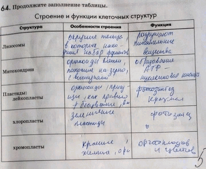 Изображение 64. Продолжите заполнение таблицы.  Строение и функции клеточных структур Структура...