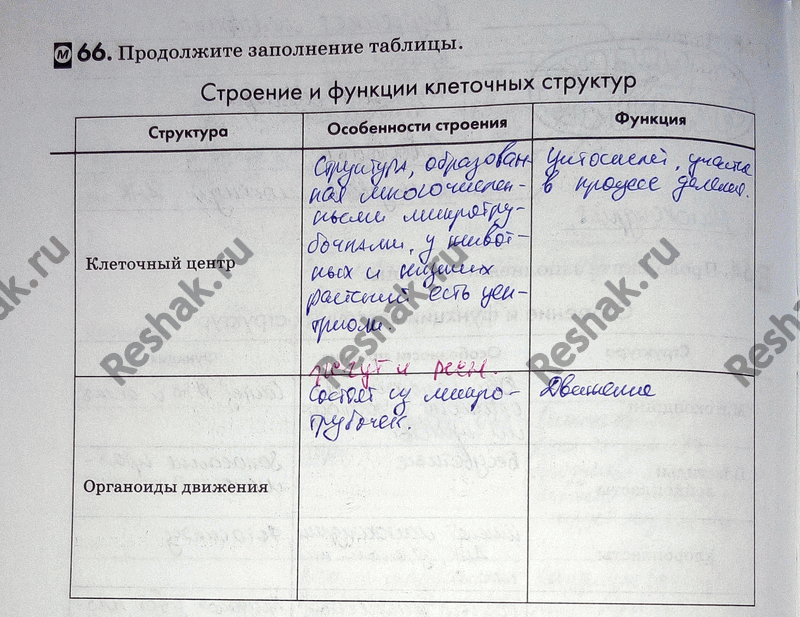 Изображение 66. Продолжите заполнение таблицы.  Строение и функции клеточных структур  Структура...