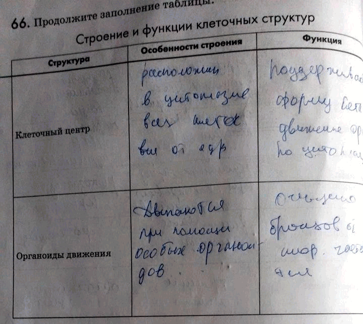 Изображение 66. Продолжите заполнение таблицы.  Строение и функции клеточных структур  Структура...
