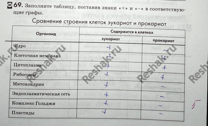 Изображение 69. Заполнитетаблицу, поставив знаки « + » и «-» всоответствующие графы.  Сравнение строения...