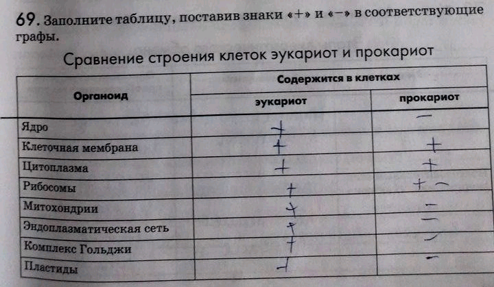 Изображение 69. Заполнитетаблицу, поставив знаки « + » и «-» всоответствующие графы.  Сравнение строения...