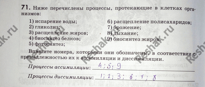Изображение 71. Ниже перечислены процессы, протекающие в клетках организмов: 1) испарение воды; 6)...