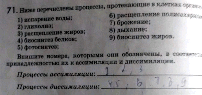 Изображение 71. Ниже перечислены процессы, протекающие в клетках организмов: 1) испарение воды; 6)...