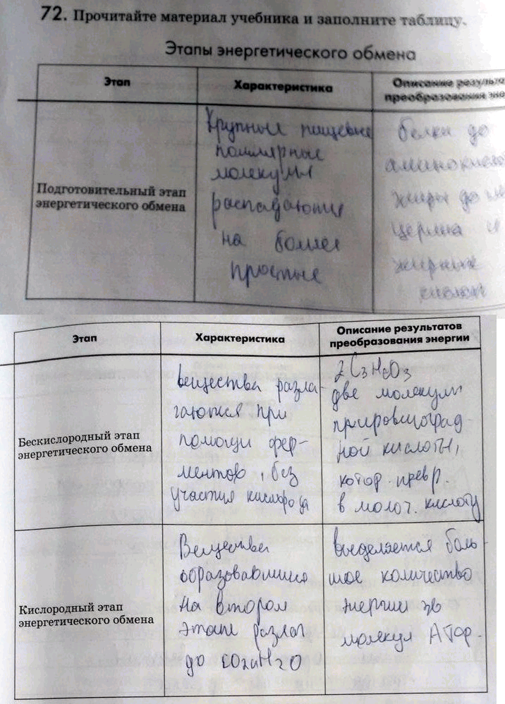 Изображение 72. Прочитайте материал учебника и заполните таблицу.  Этапы энергетического обмена Этап...
