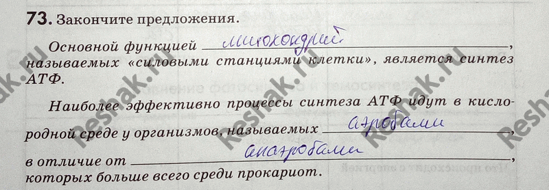 Изображение 73. Закончите предложения.  Основной функцией_, называемых «силовыми станциями клетки»,...