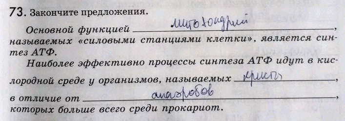 Изображение 73. Закончите предложения.  Основной функцией_, называемых «силовыми станциями клетки»,...