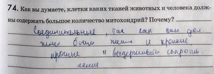 Изображение 74. Как вы думаете, клетки каких тканей животных и человека должны содержать большое количество митохондрий? Почему?_ Типы питания...