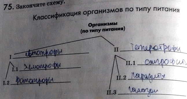 Изображение 75. Закончите схему.  Классификация организмов по типу питания Организмы (по типу...