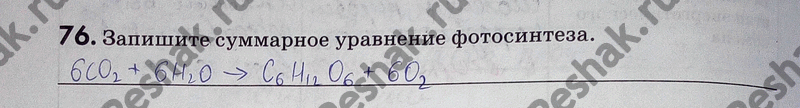 Изображение 76. Закончите предложения.  Способ питания организма зависит от.  По способу питания зелёные растения являются Основной источник энергии на нашей планете...