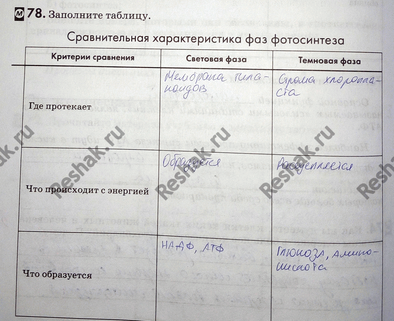 Изображение 78. Заполните таблицу.  Автотрофные и гетеротрофные организмы Группы организмов Способ получения Представители  органических веществ  Автотрофы  Г...