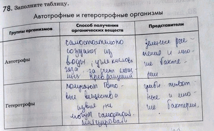 Изображение 78. Заполните таблицу.  Автотрофные и гетеротрофные организмы Группы организмов Способ получения Представители  органических веществ  Автотрофы  Г...