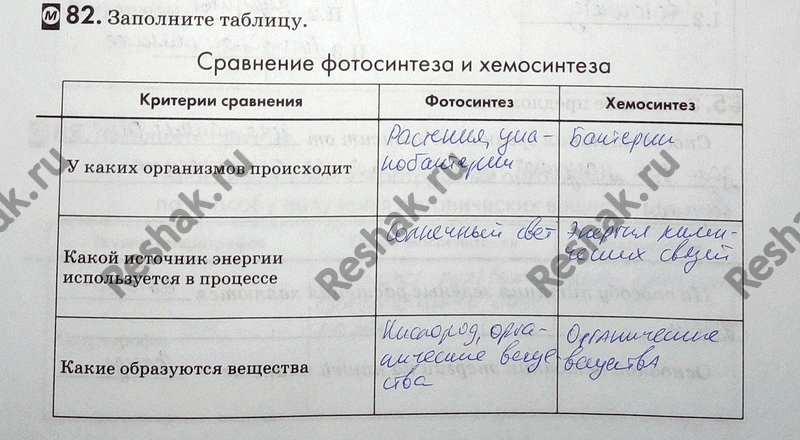 Изображение 82. Закончите предложения.  Фотосинтез происходит в клетках, Кислород, выделяющийся в процессе фотосинтеза, образуется в...