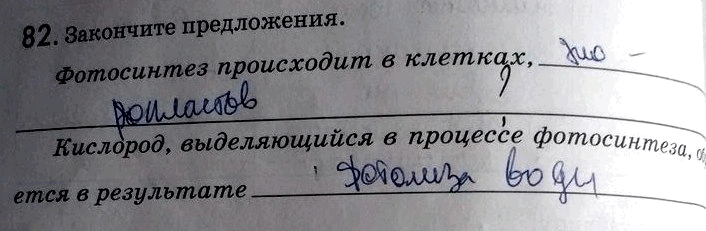 Изображение 82. Закончите предложения.  Фотосинтез происходит в клетках, Кислород, выделяющийся в процессе фотосинтеза, образуется в...