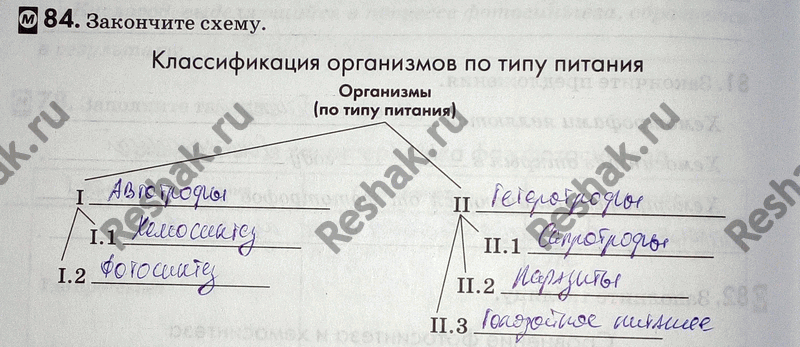 Изображение Упр.84 ГДЗ Рабочая тетрадь Пасечник 9 класс