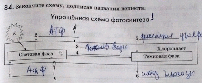 Изображение Упр.84 ГДЗ Рабочая тетрадь Пасечник 9 класс