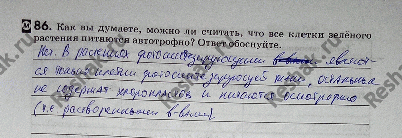 Изображение 86. Закончите предложения.  Хемотрофами являются_ Хемосинтез открыл в_году_ Хемотрофы отличаются от фототрофов тем,...