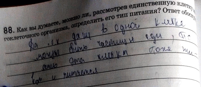 Изображение 88. Как вы думаете, можно ли, рассмотрев единственную клетку многоклеточного организма, определить его тип питания? Ответ обоснуйте.  Синтез белков в...