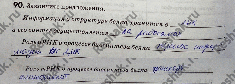 Изображение 90. Закончите предложения.  Информация о структуре белка хранится в а его синтез...