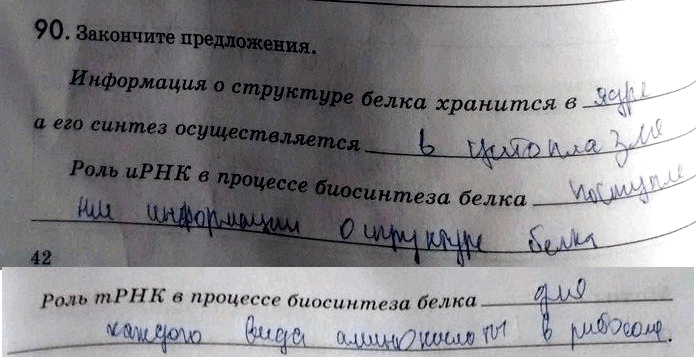 Изображение 90. Закончите предложения.  Информация о структуре белка хранится в а его синтез...