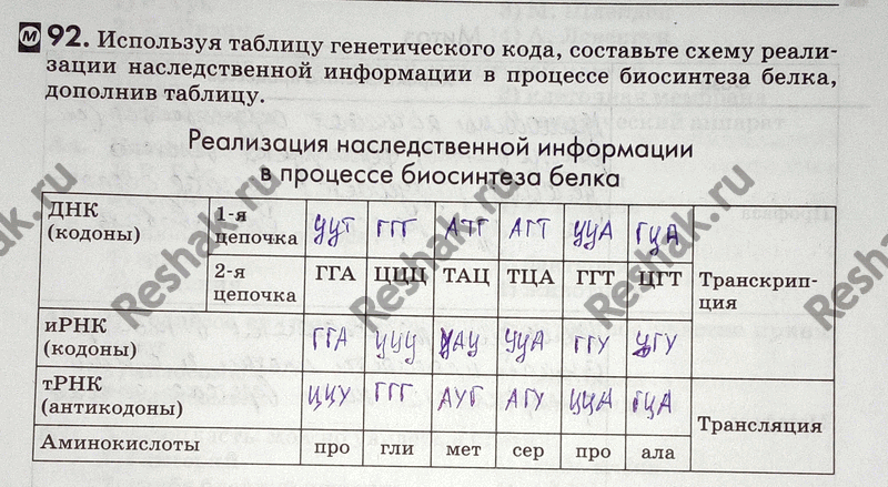 Изображение 92. Используя таблицу генетического кода, составьте схему реализации наследственной...