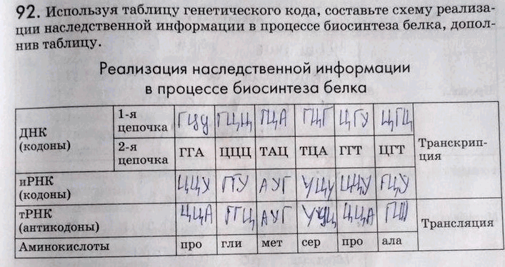 Изображение 92. Используя таблицу генетического кода, составьте схему реализации наследственной...