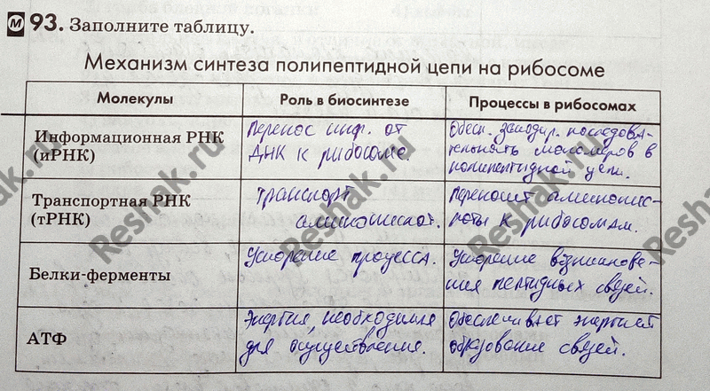 Изображение 93. Заполните таблицу.  Механизм синтеза полипептидной цепи на рибосоме Молекулы Роль в...
