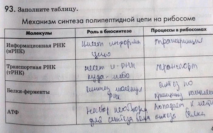Изображение 93. Заполните таблицу.  Механизм синтеза полипептидной цепи на рибосоме Молекулы Роль в...