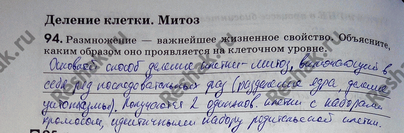 Изображение 94. Размножение — важнейшее жизненное свойство. Объясните, каким образом оно проявляется на клеточном...